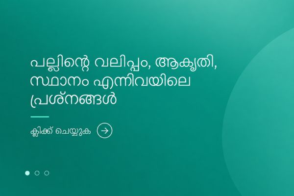 പല്ലിന്റെ വലിപ്പം, ആകൃതി, സ്ഥാനം എന്നിവയിലെ പ്രശ്നങ്ങൾ